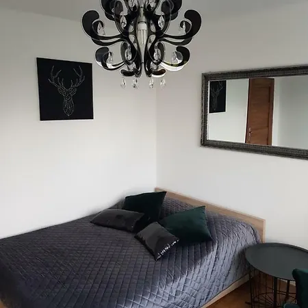 Apartament Api 2 - Centrum