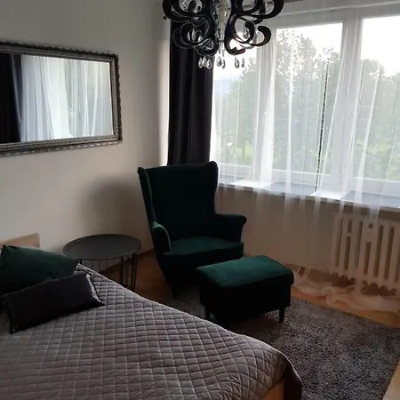 Apartament Api 2 - Centrum * זקופאנה
